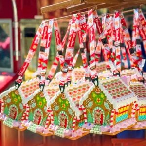 Disney Parks Mickey Minnie Gingerbread House Popcorn Bucket 2024 New